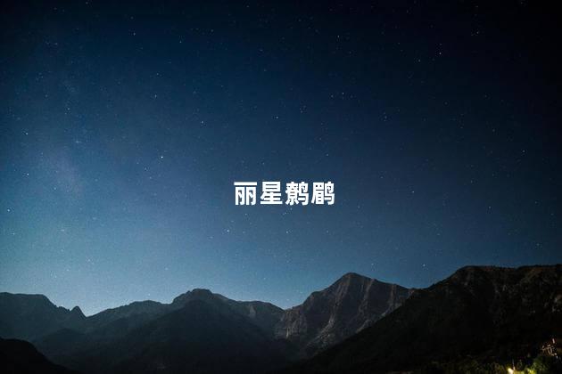 丽星鹩鹛