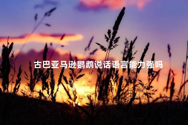 古巴亚马逊鹦鹉说话语言能力强吗