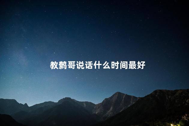 教鹩哥说话什么时间最好