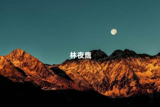 林夜鹰