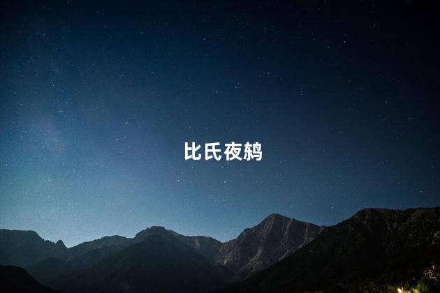 比氏夜鸫