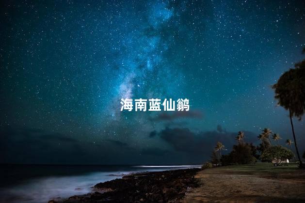 海南蓝仙鹟