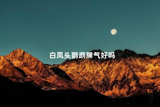 白凤头鹦鹉脾气好吗