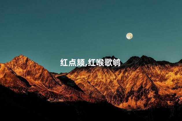 红点颏,红喉歌鸲